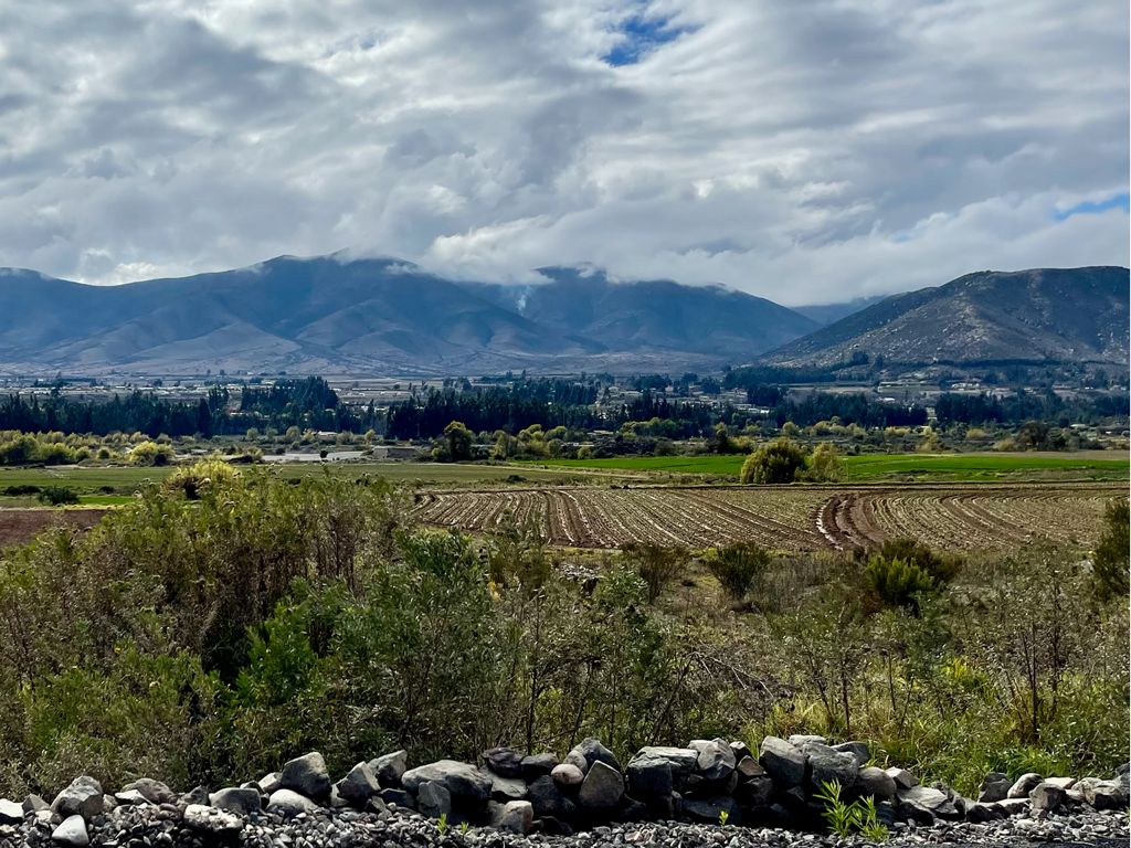 Loteos Brujos