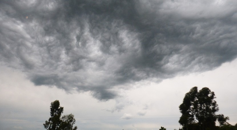 Después de la tormenta